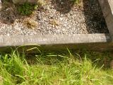 image of grave number 808641